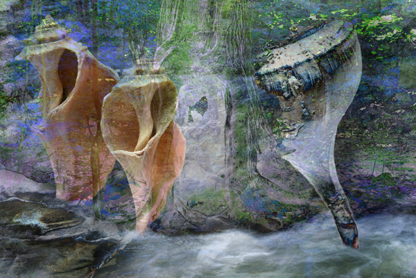 Can I Join You? Can I Join You?