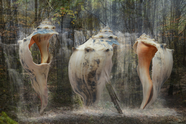 The Hidden Waters The Hidden Waters